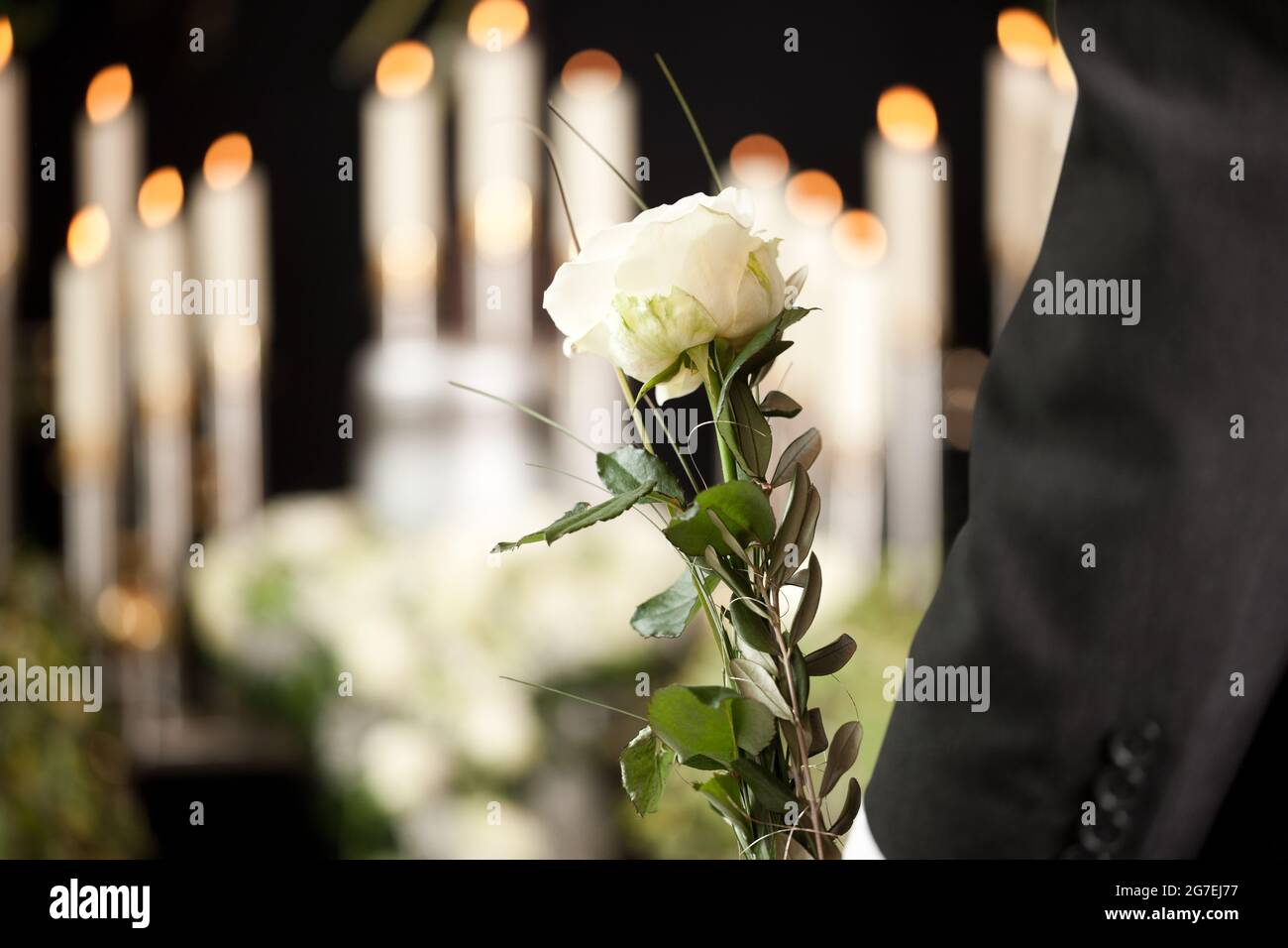 Religion, death and dolor  - man at funeral with white rose mourning the dead Stock Photo
