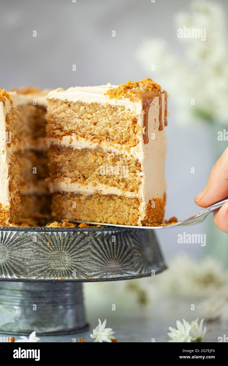 A slice of vegan cookie butter layer cake being sliced ans served Stock