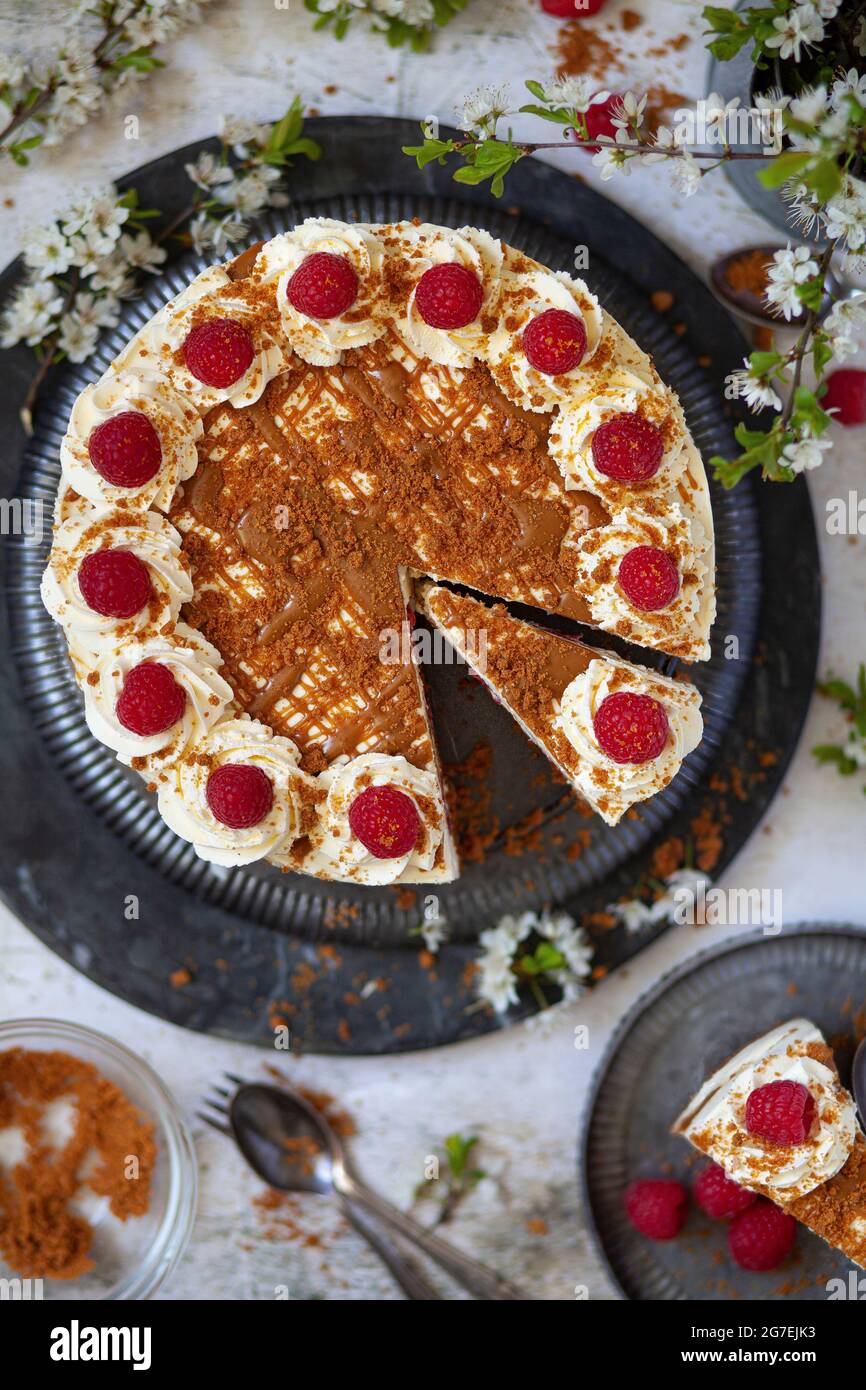 Overhead view of a no bake speculoos cookie butter and raspberry