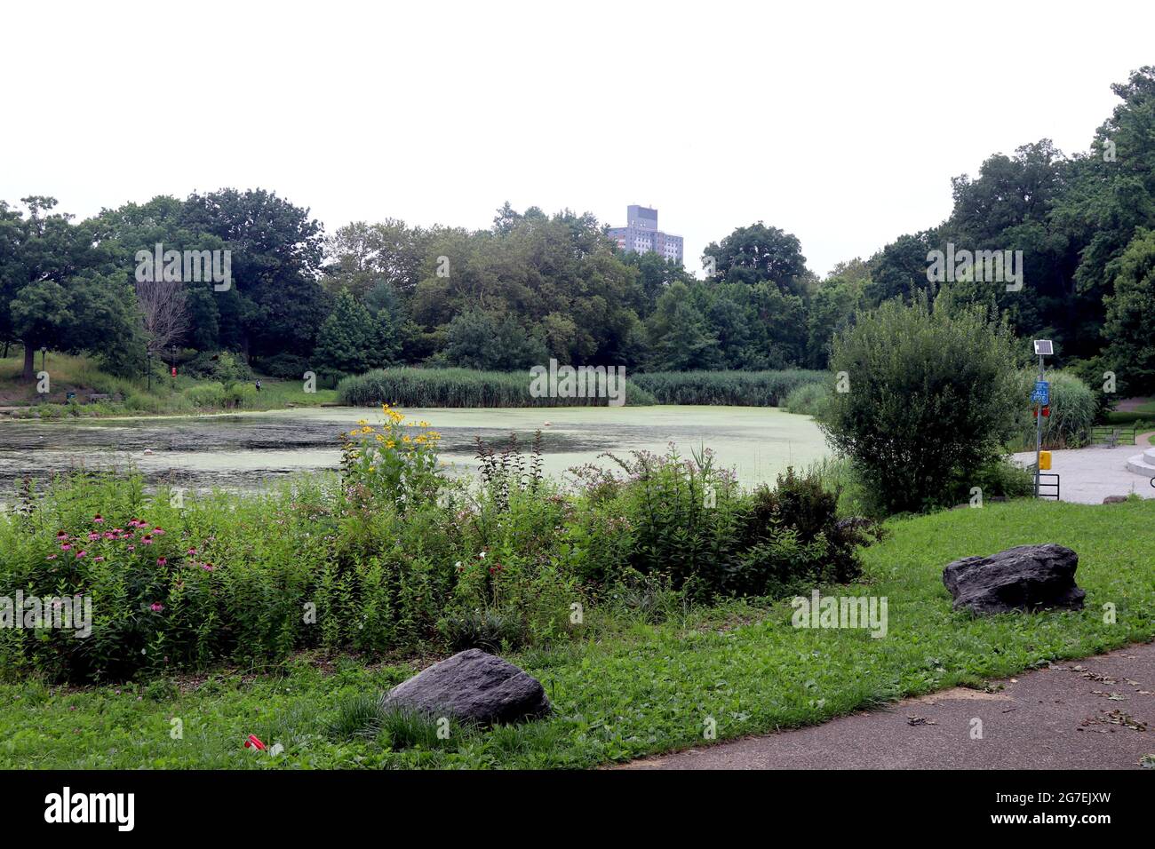The Bronx, New York, NY, USA, 13th. July, 2021. View of Indian Lake on