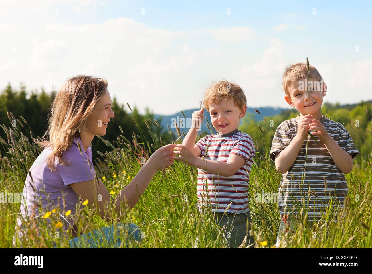Mother with two little boys playing in the grass on a summer meadow ...