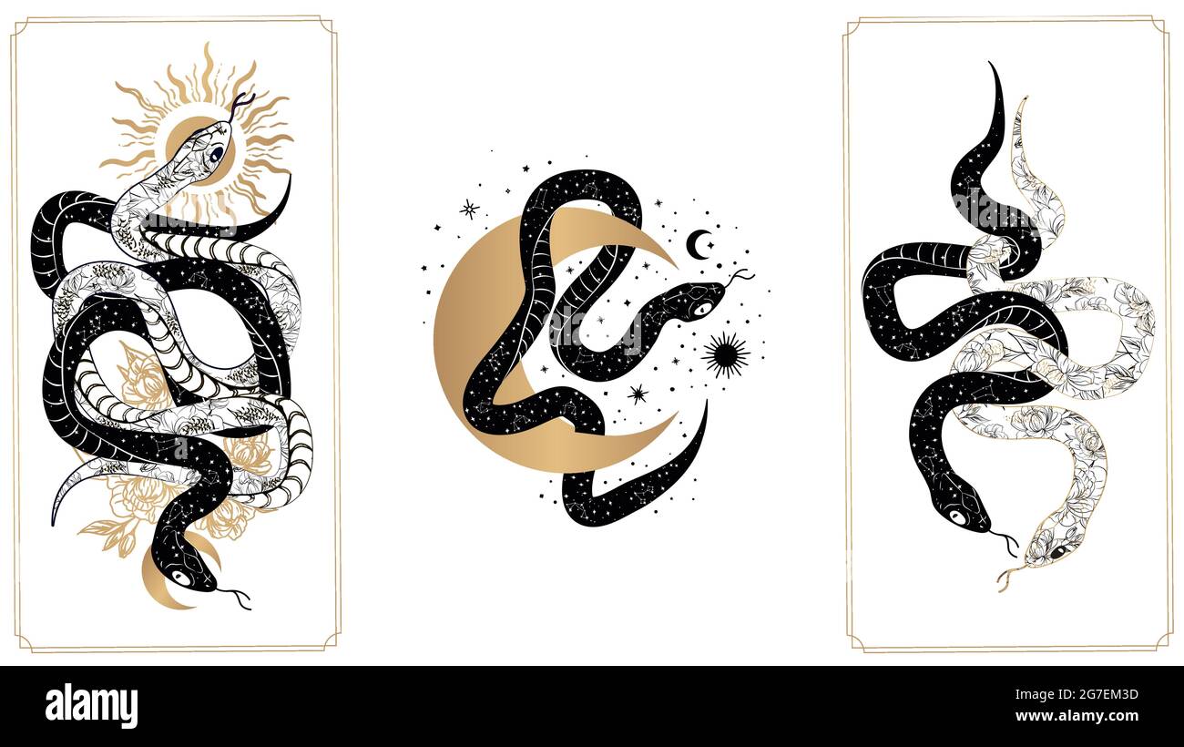 Magical snakes tarot cards. Occult hand drawn tarot cards, esoteric