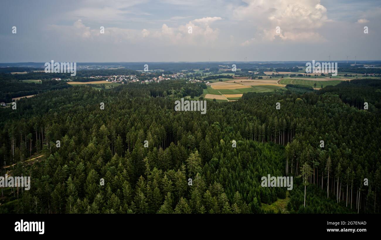 Aerial View Of Dense Forest In Summer Stock Photo - Alamy