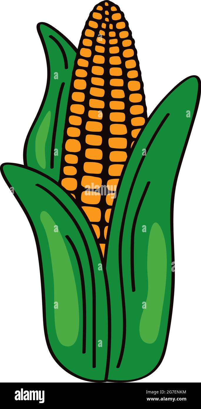 corn vegetable fresh healthy icon Stock Vector Image & Art - Alamy