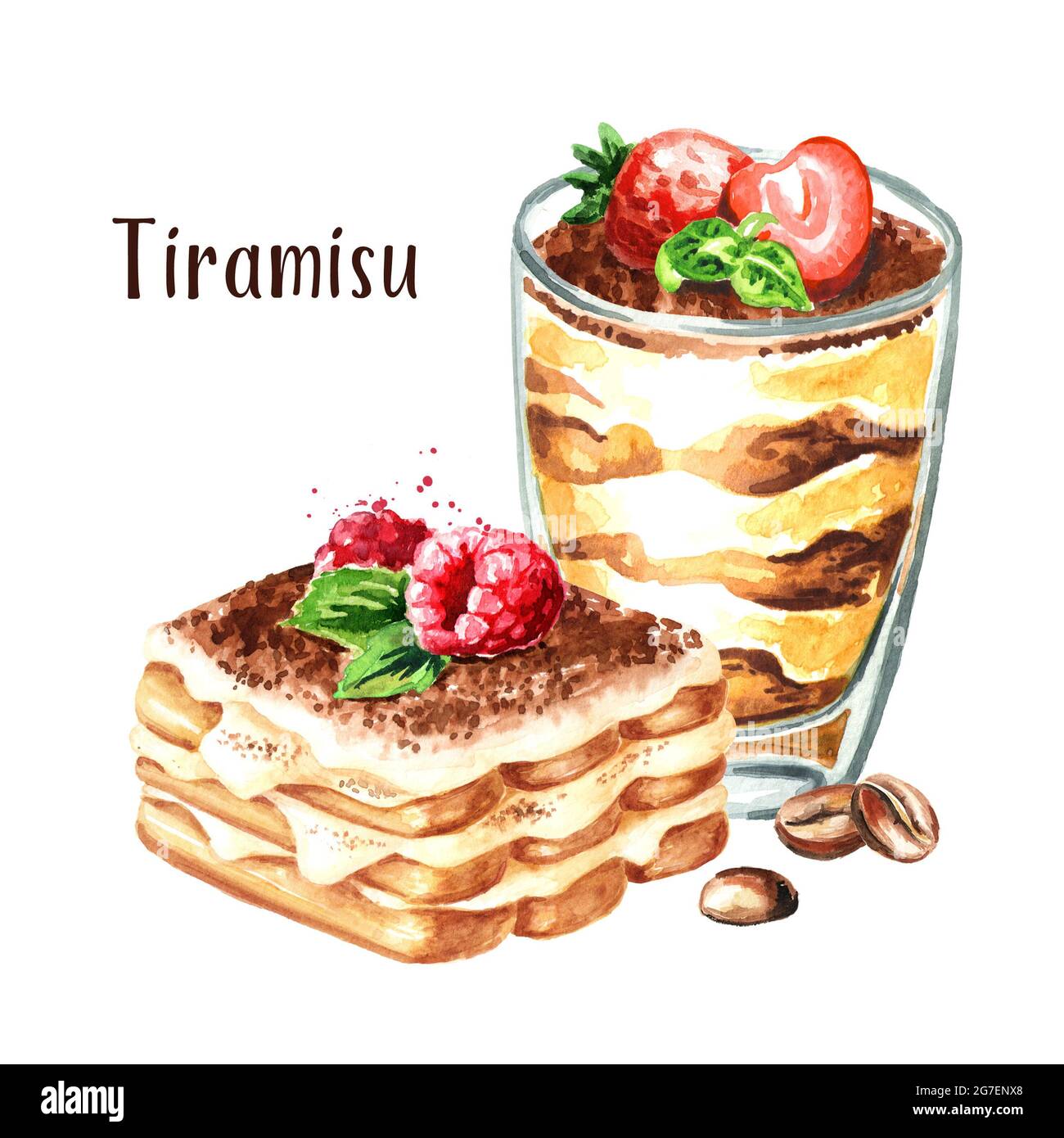 Tiramisu, Italian traditional sweet dessert. Watercolor hand drawn