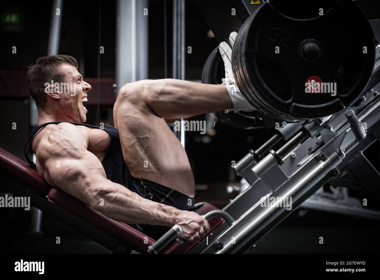 Man in gym training at leg press to define his upper leg muscles Stock Photo