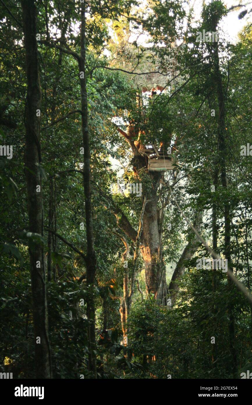 The gibbon experience laos hires stock photography and images Alamy