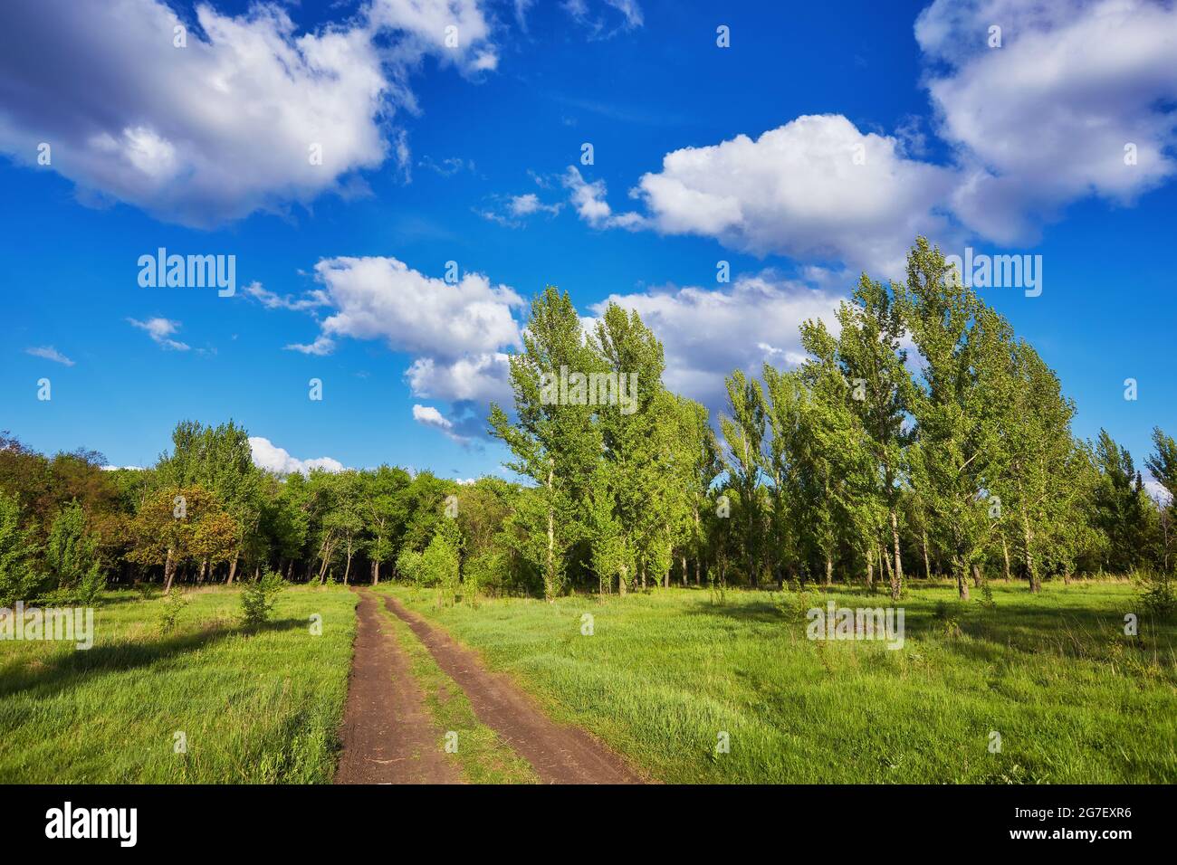 Summer landscape with green grass, road and clouds Stock Photo - Alamy