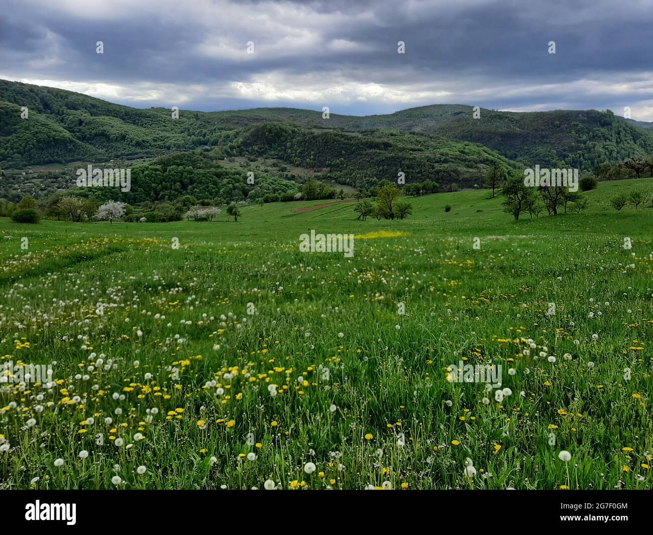 Rural field and hills on a cloudy day Stock Photo - Alamy