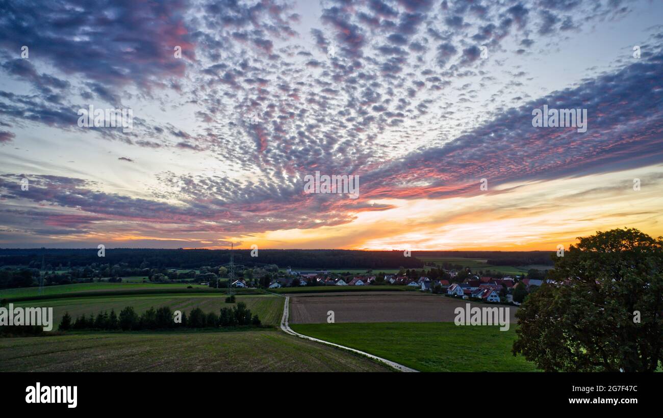 Aerial view green fields dense hi-res stock photography and images - Alamy