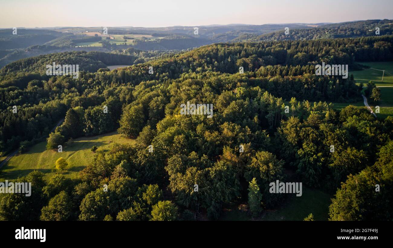 Aerial view of green dense forests on a sunny day Stock Photo - Alamy