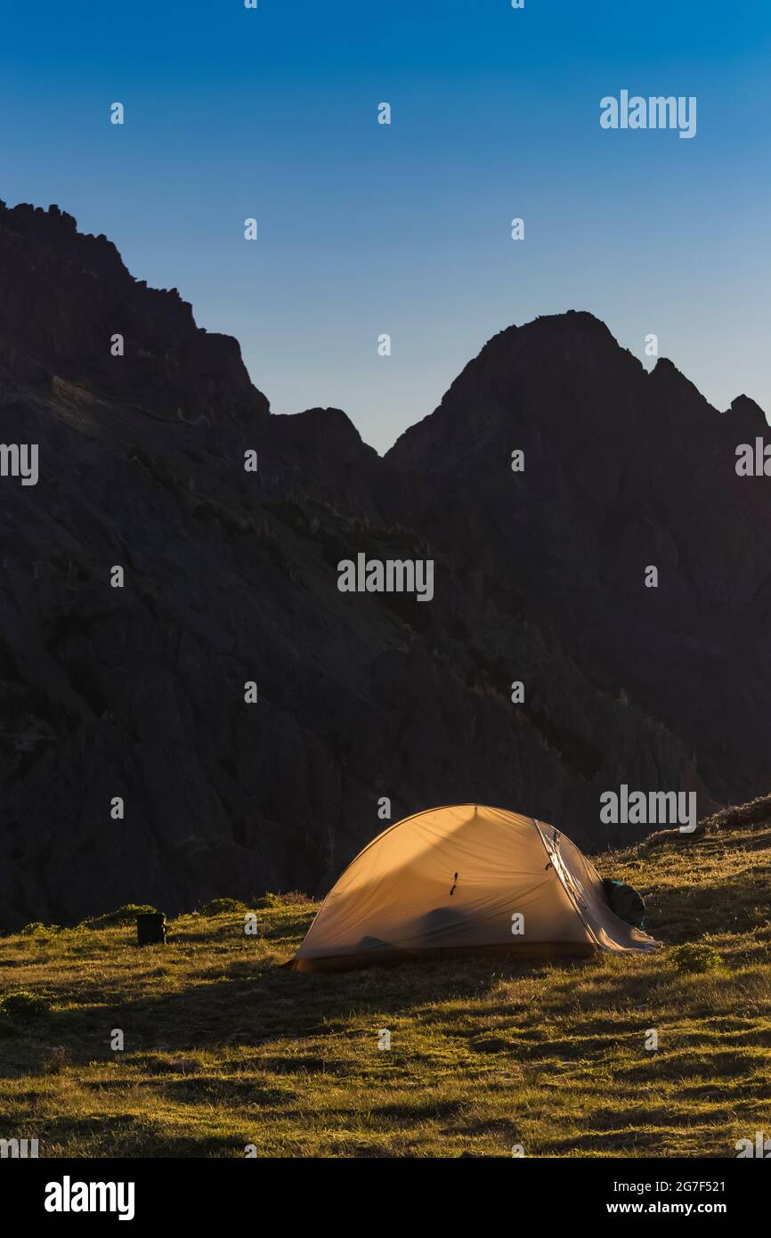 Backpacking tent in a subalpine meadow near Marmot Pass in the Buckhorn