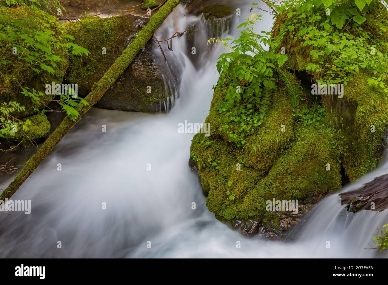 Big Quilcene River along the trail to Marmot Pass in the Buckhorn