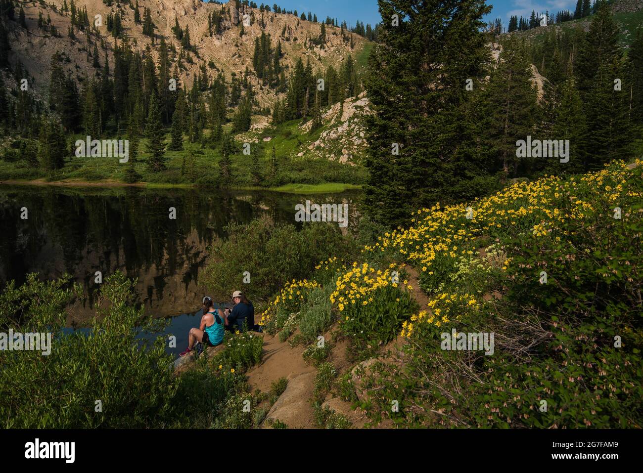 Hikers resting near a high mountain lake, checking their cell phones.  Young people cant enjoy nature without their technology. Stock Photo