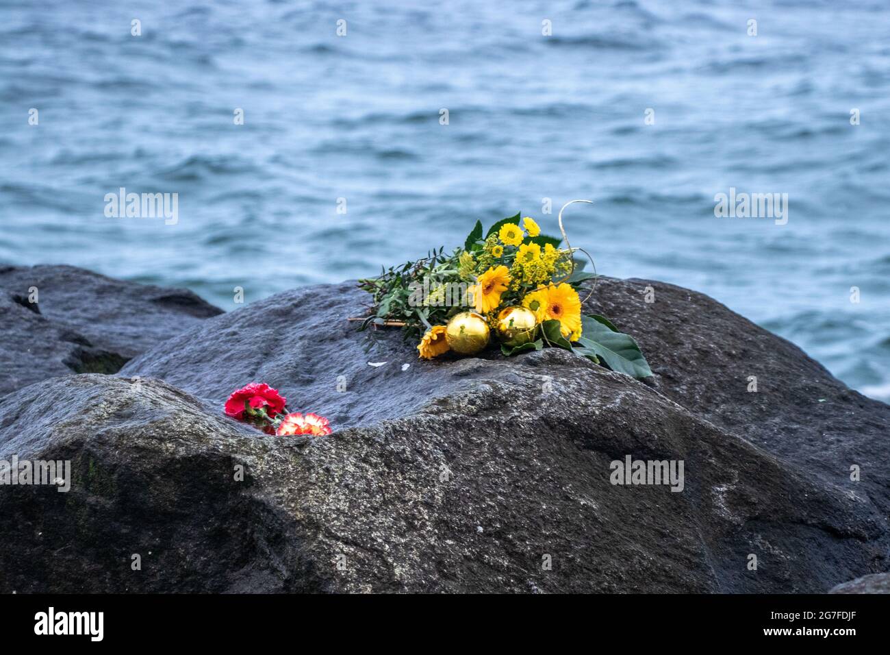Beautiful flowers on the rock by the sea Stock Photo - Alamy