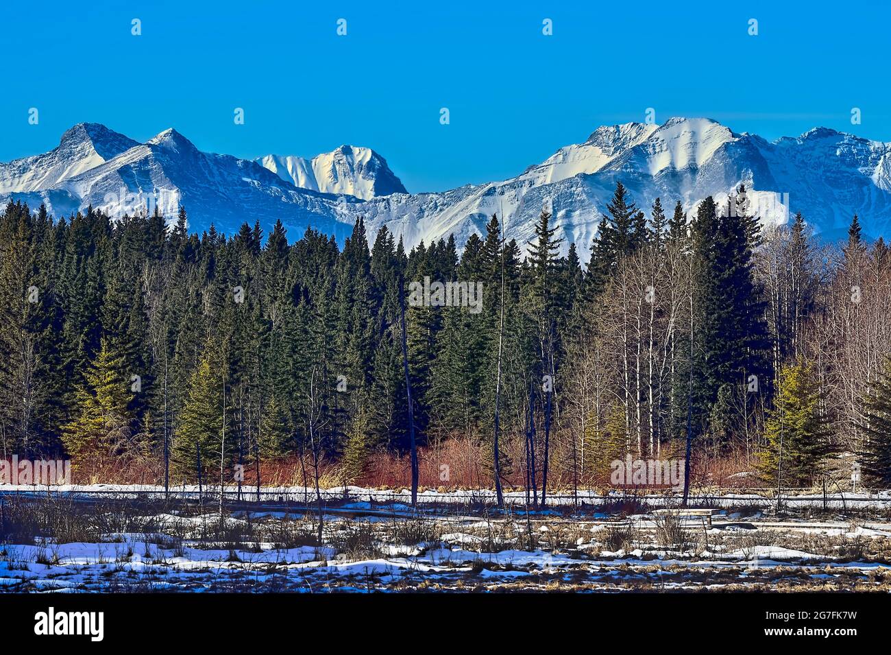 A winter landscape of the snow-capped Rocky Mountains in rural Alberta Canada Stock Photo