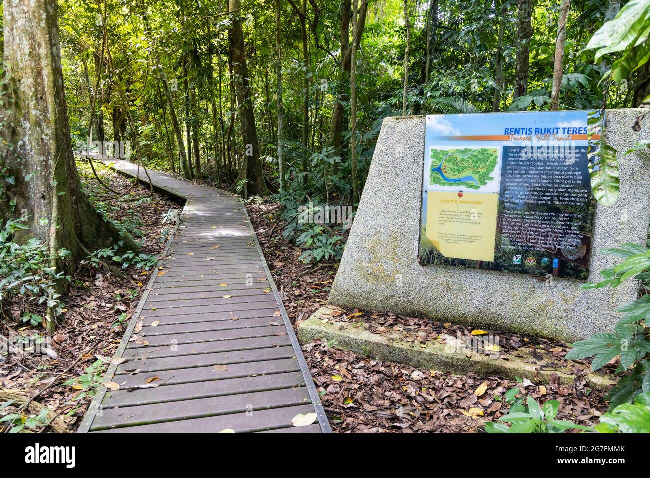 Wooden boardwalk trail to Teresek Hill at Taman Negara National Park