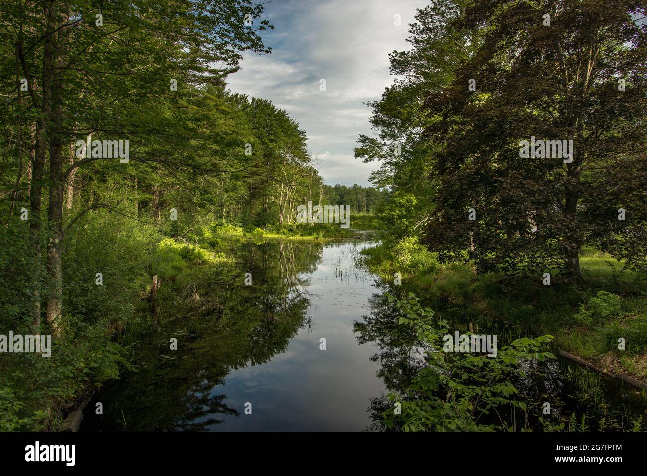 Beautiful scenery of a river surrounded by greenery under a cloudy sky ...