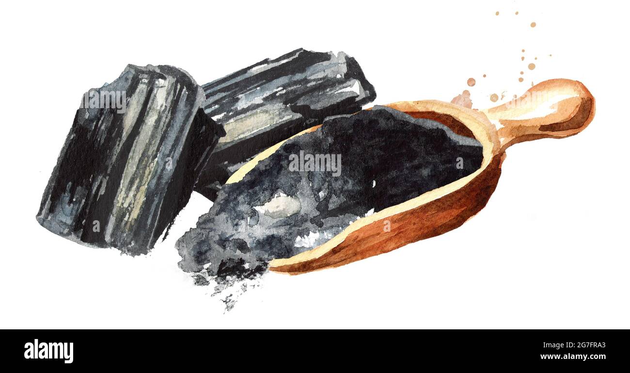 Natural charcoal. Large pieces and powder.. Watercolor hand drawn ...