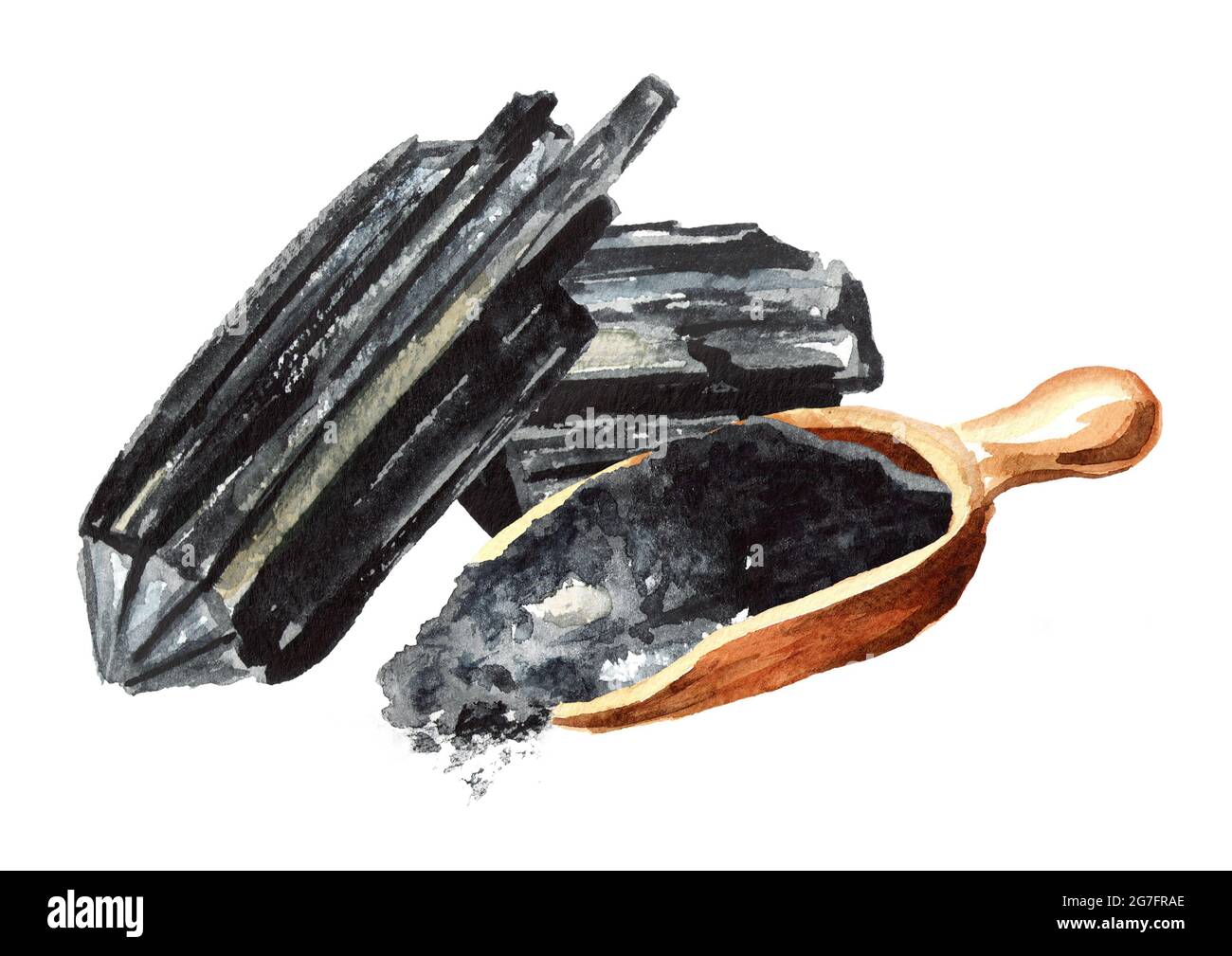 Natural charcoal. Large pieces and powder. Watercolor hand drawn ...