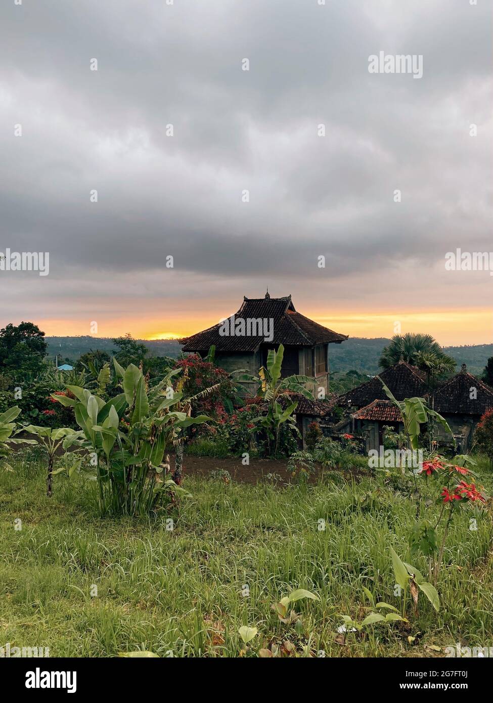 Tropical jungle sunset hi-res stock photography and images - Alamy