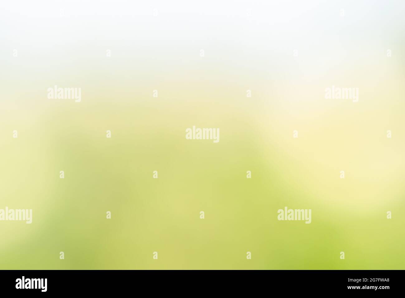 Abstract blurred soft green and yellow with white gradient background Stock Photo