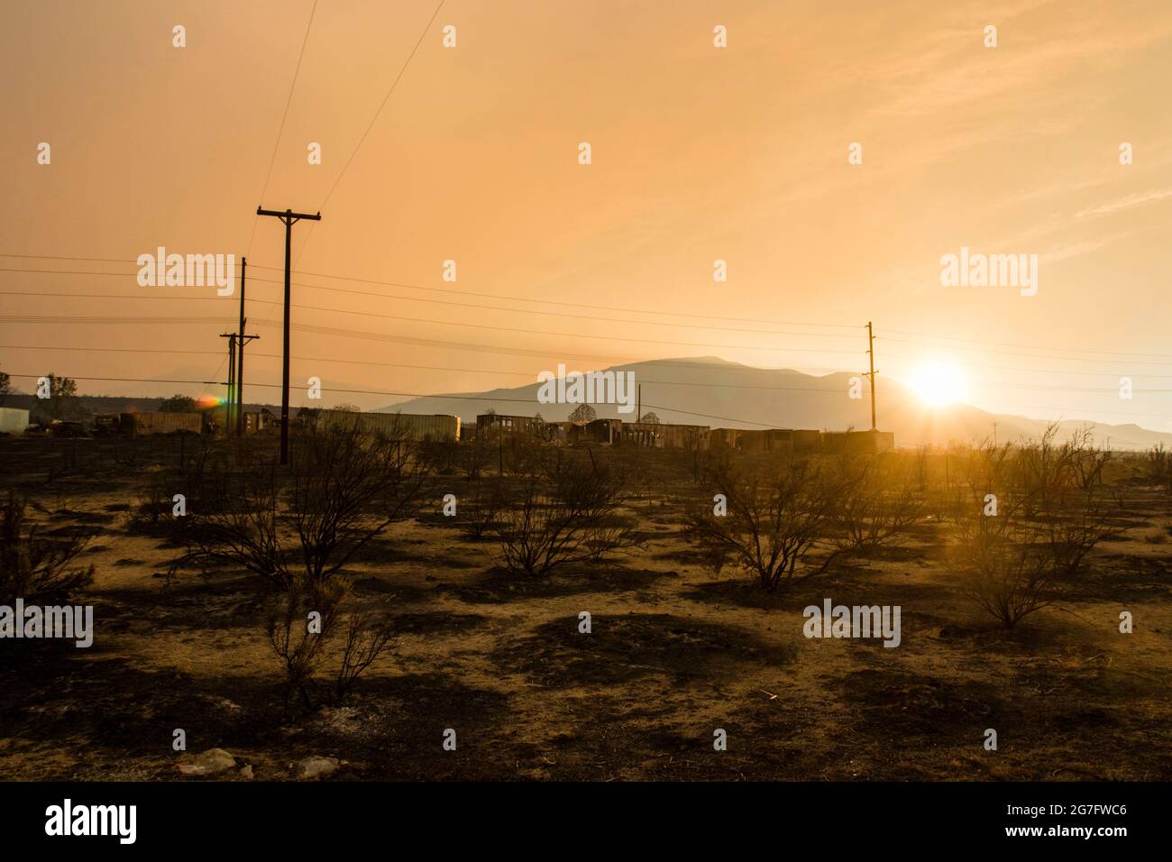 Burnt telephone poles from the Beckwourth Complex Fire.The Beckwourth
