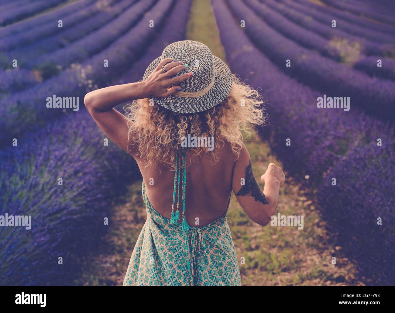 Back view of pretty babe in boho elegant blue dress walk in lavender fields wearing travel style hat and blonde curly nice long hair - concept or free Stock Photo