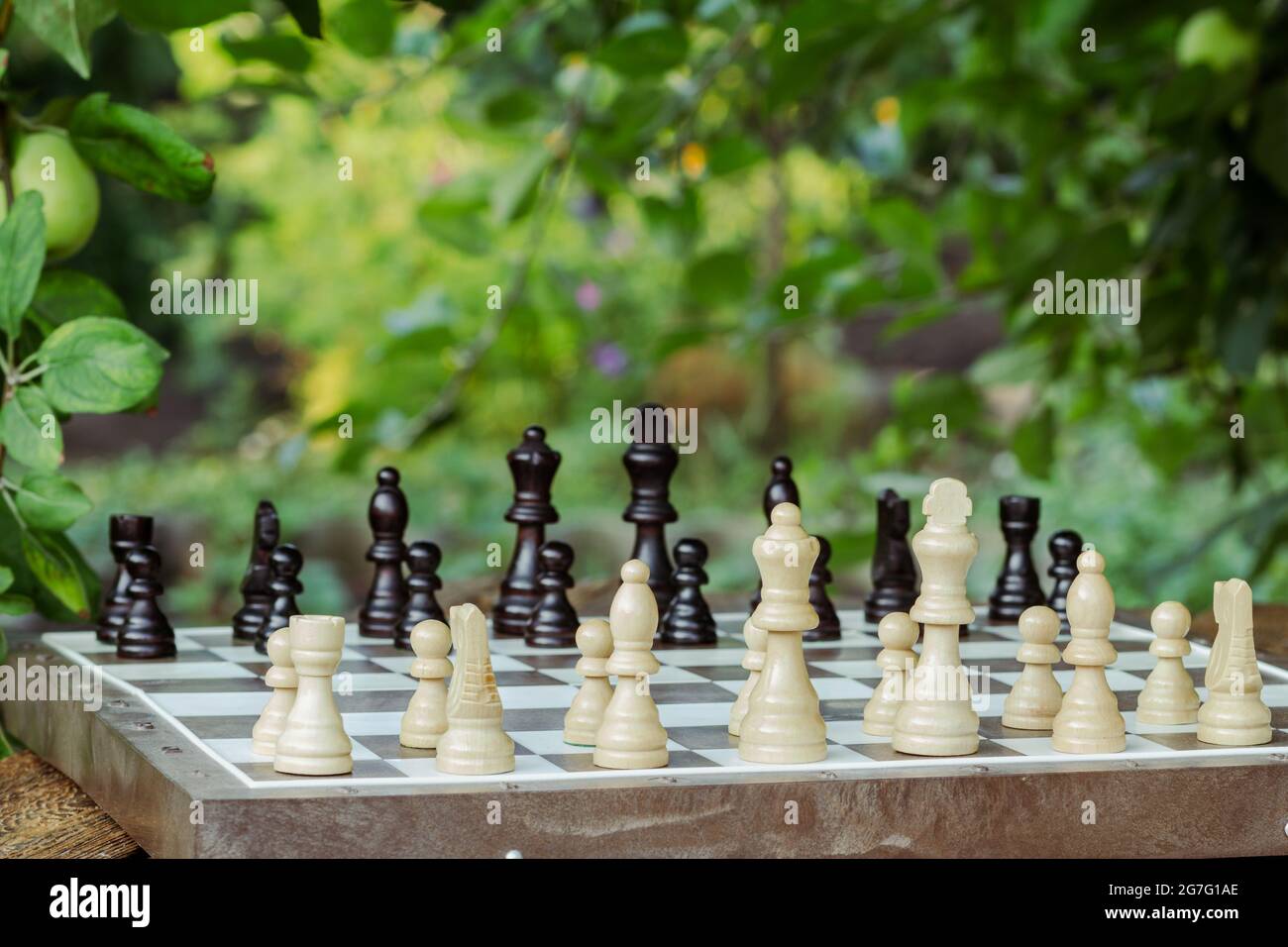 Chess board with chess pieces on desk with branches of apple tree Stock  Photo - Alamy