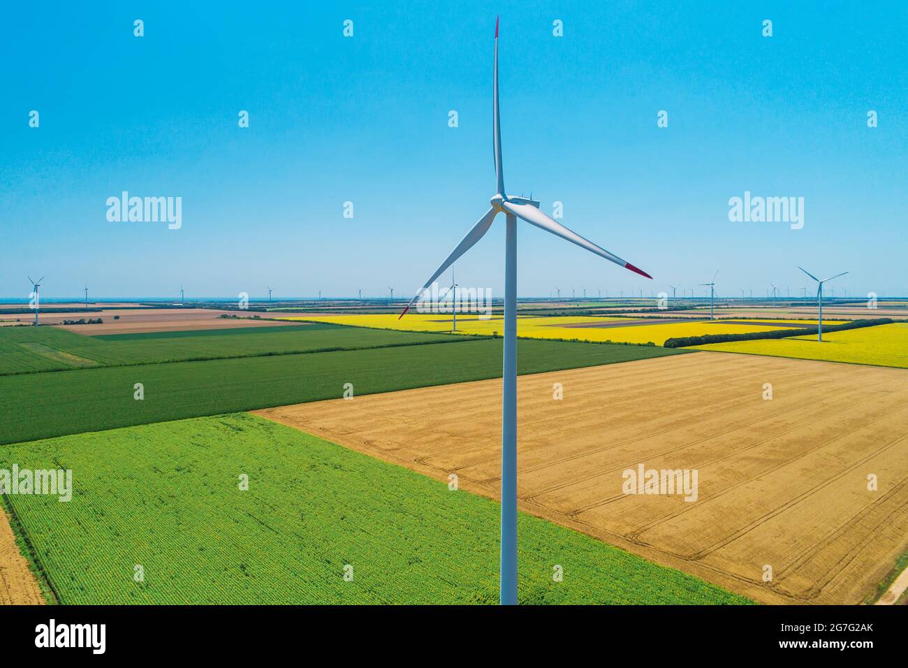 Blue sky and wheat field with wind turbines generating electricity ...