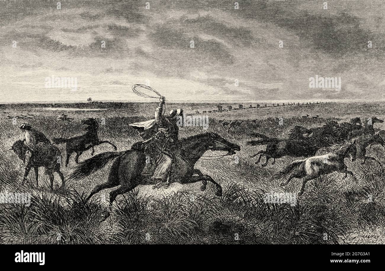 Argentinian gauchos rounding up wild horses, Argentina, South America. Old 19th century engraved illustration from El Mundo Ilustrado 1880 Stock Photo