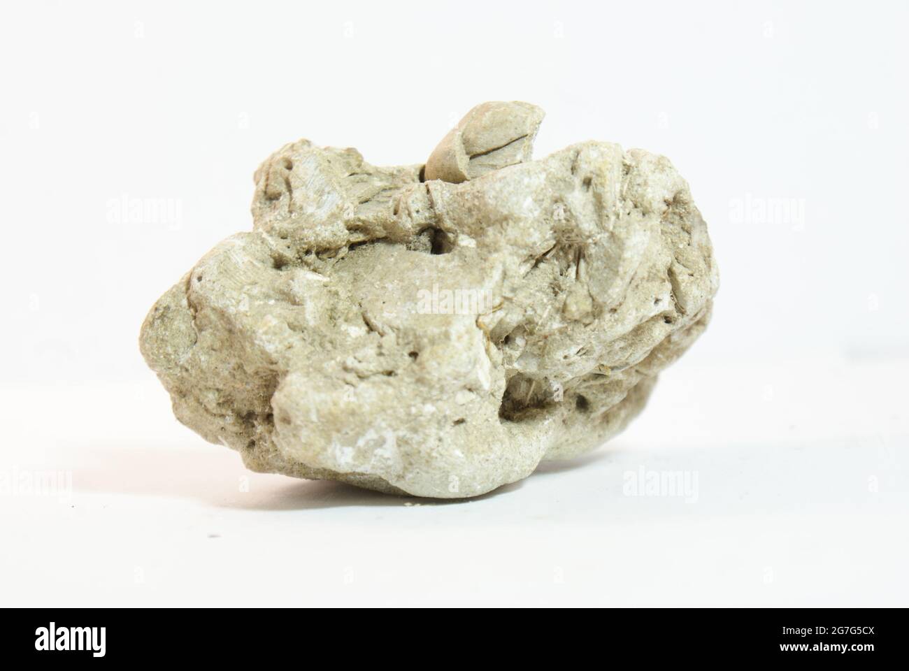 Close up shot of a stone on white background Stock Photo - Alamy
