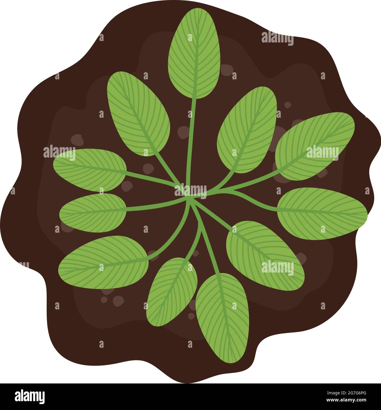 Jagged Plant Design Stock Vector Image Art Alamy