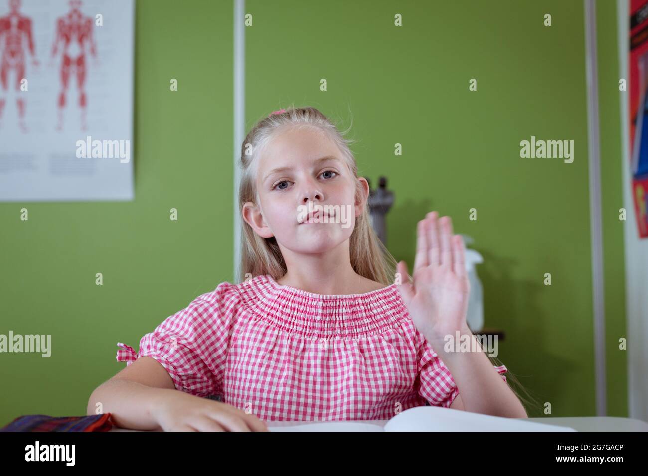 Portrait of caucasian schoolgirl sitting at desk in classroom raising ...