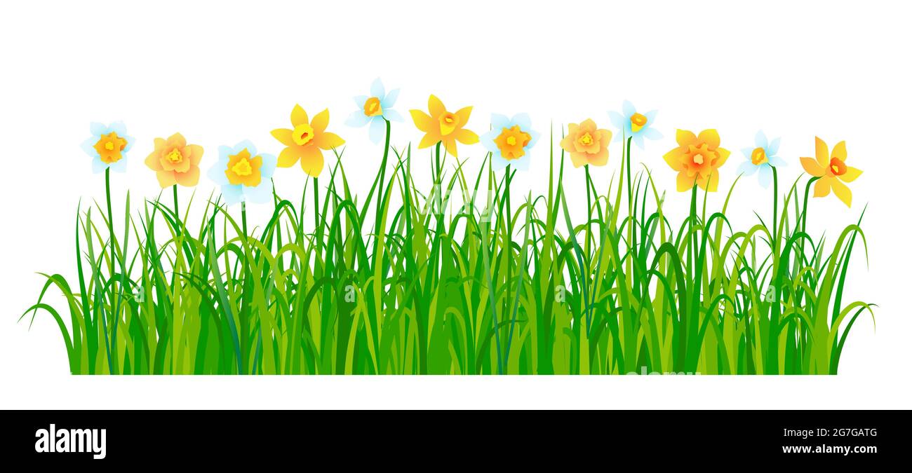 Spring nature border with flowers and green grass. Vector illustration Stock Vector