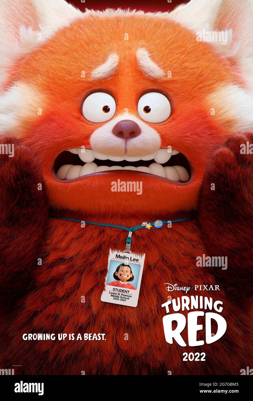 Turning Red (2022) directed by Domee Shi and starring Sandra Oh and Rosalie Chiang. Comedy about a 13 year old girl who turns into a giant red panda whenever she gets too excited. Stock Photo
