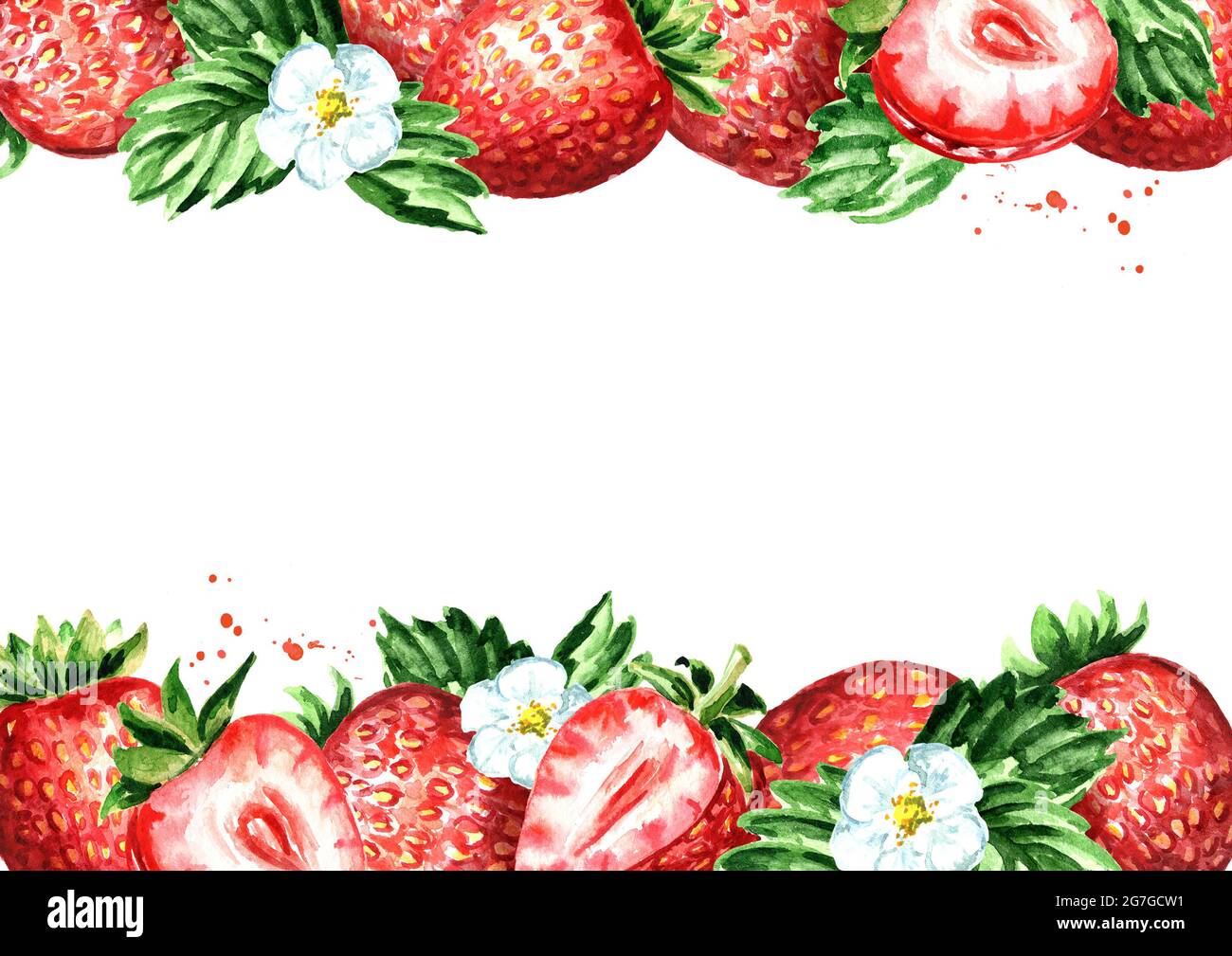 Fresh strawberry horizontal template. Watercolor hand drawn illustration, isolated on white background Stock Photo