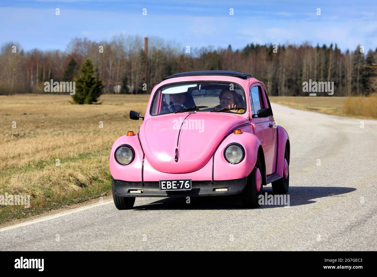 Pink Volkswagen Beetle, officially Volkswagen Type 1, in excellent condition, at speed on rural road in Salo, Finland. May 2, 2021. Stock Photo