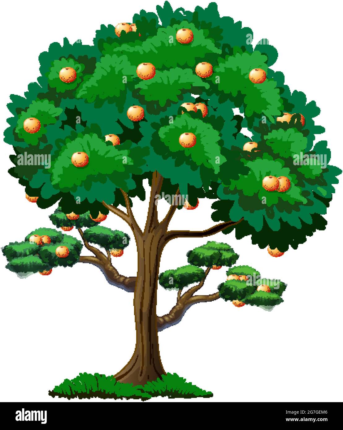 Lemon tree isolated on white background illustration Stock Vector Image ...