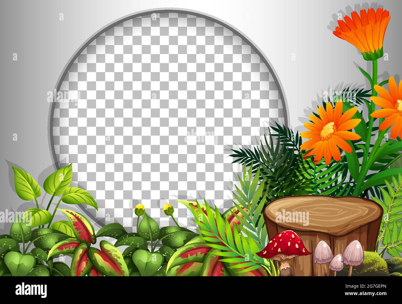 Round frame transparent with tropical flowers and leaves template ...