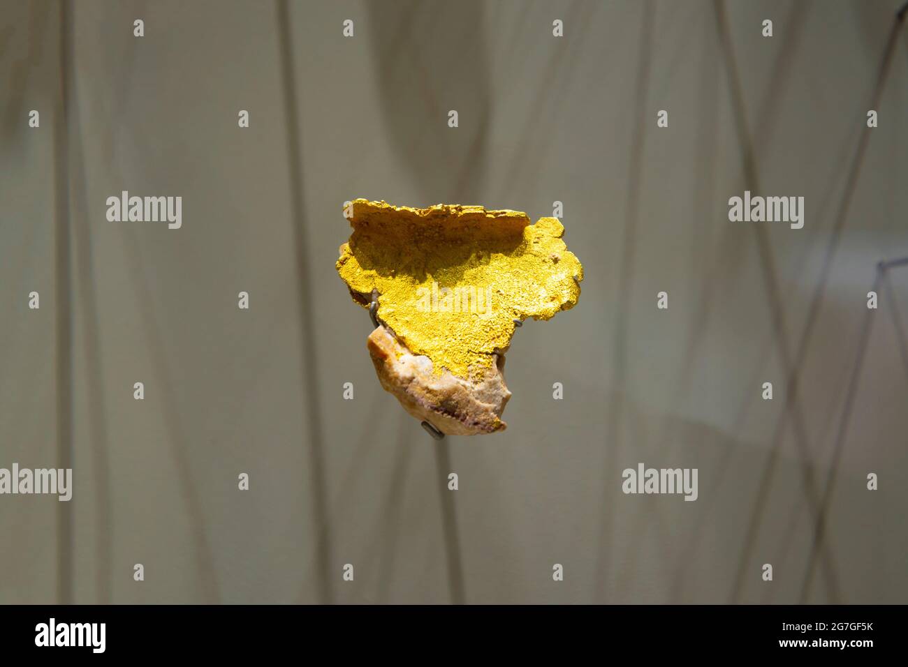 Genuine Gold Nuggets on Display Stock Photo