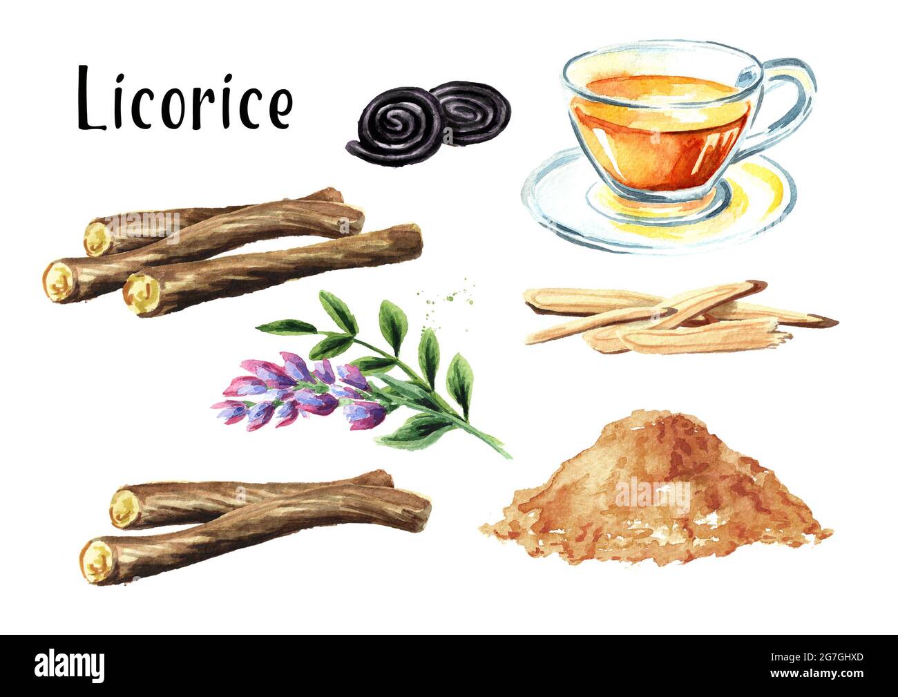 Licorice root, flower, tea, candy set. Watercolor hand drawn