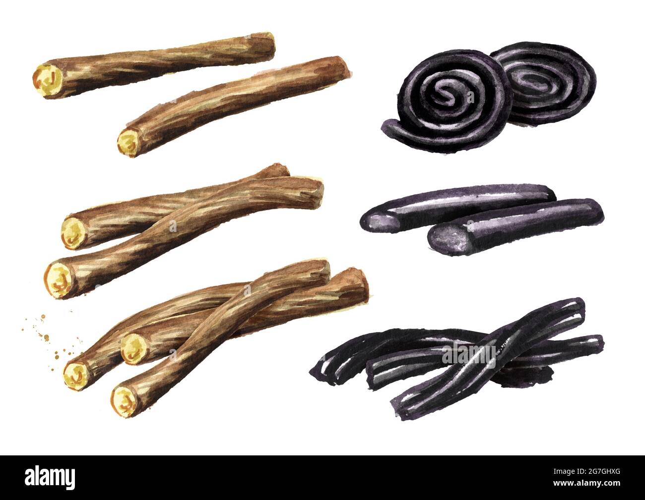 Licorice root and Licorice candy set. Watercolor hand drawn