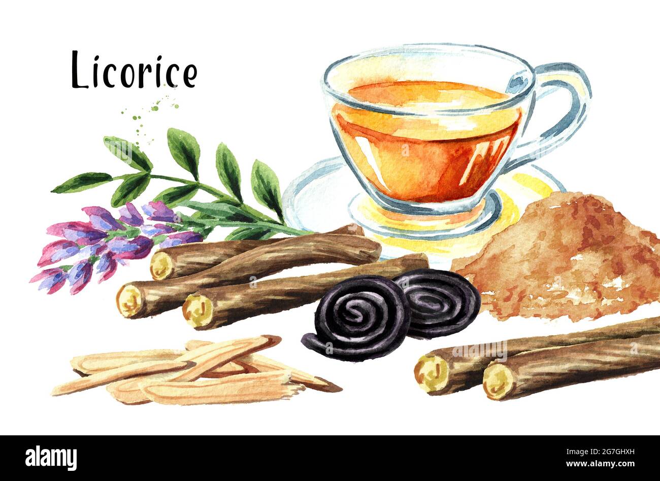 Licorice root, flower, tea, candy composition. Watercolor hand drawn