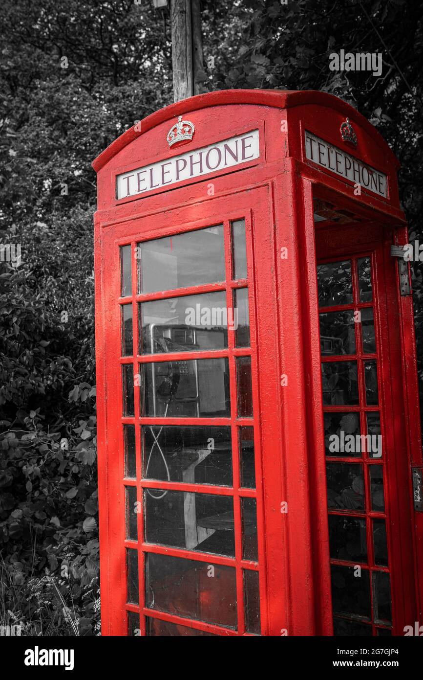 Traditional old red telephone box, selective color, close-up. Vintage British phone booth on black and white tree background. Stock Photo