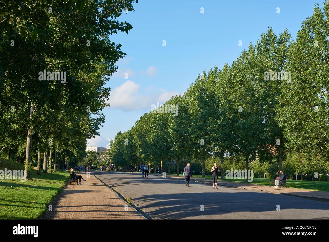 Avenue in Finsbury Park, North London, UK, in summertime, with pedestrians Stock Photo