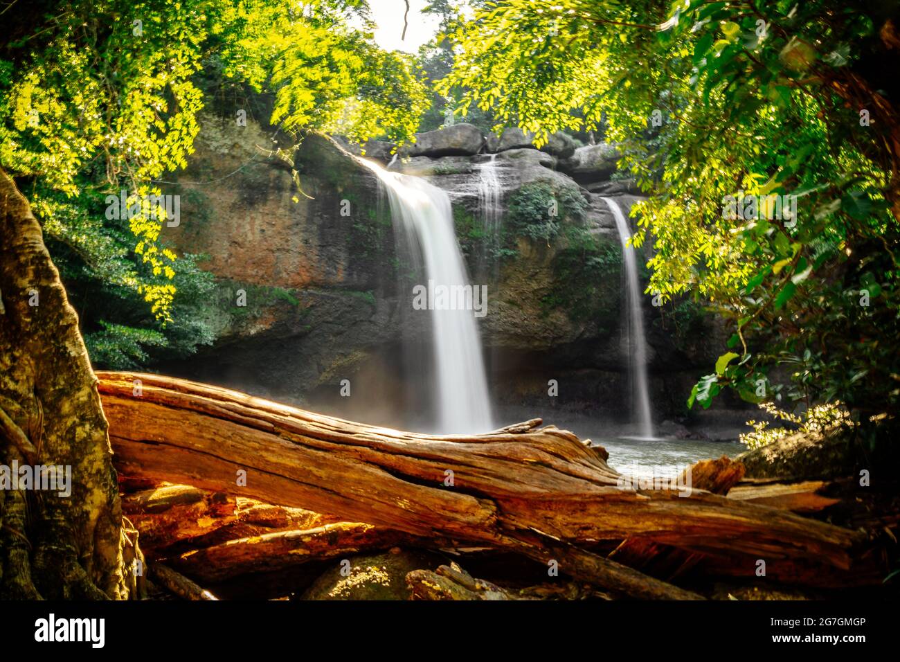 khao yai national park nakhon ratchasima thailand