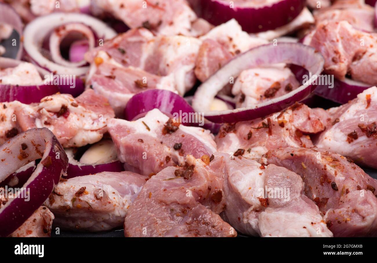 Raw meat with onion rings and spices for barbecue Stock Photo