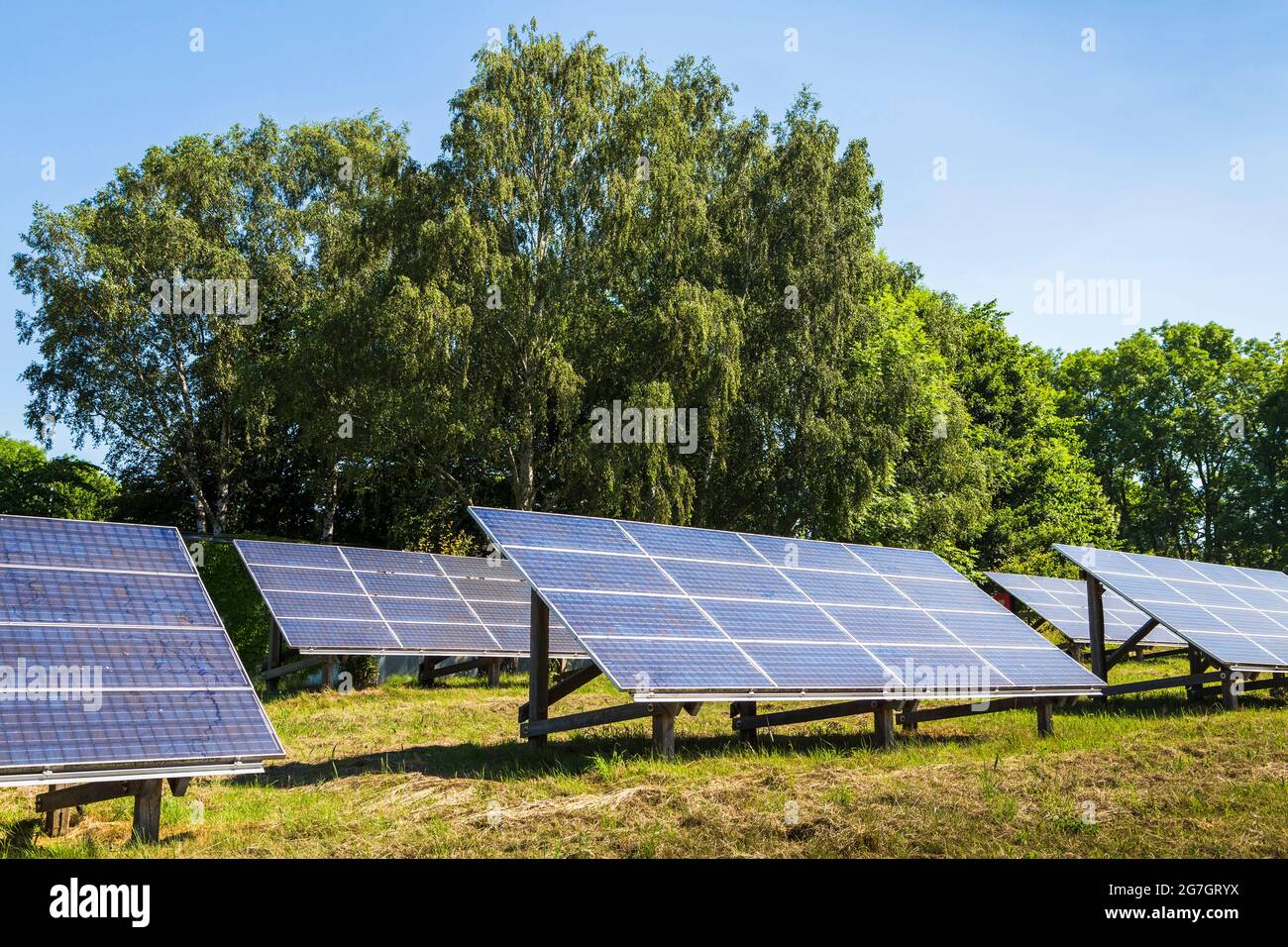 solar farm at the biosphere reserve Suedost-Ruegen, island Vilm, Germany, Vilm, Biosphaerenreservat Suedost-Ruegen, Insel Vilm Stock Photo