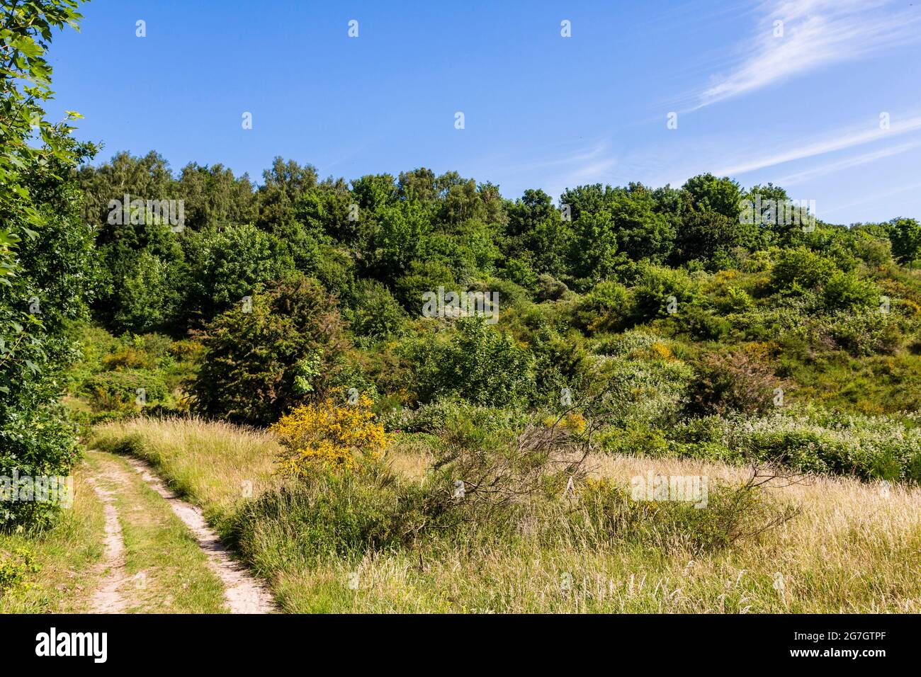 landscape at the nature reserve Dornbusch, Germany, Hiddensee Stock Photo